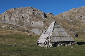 katuni