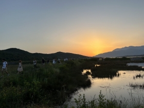 solila