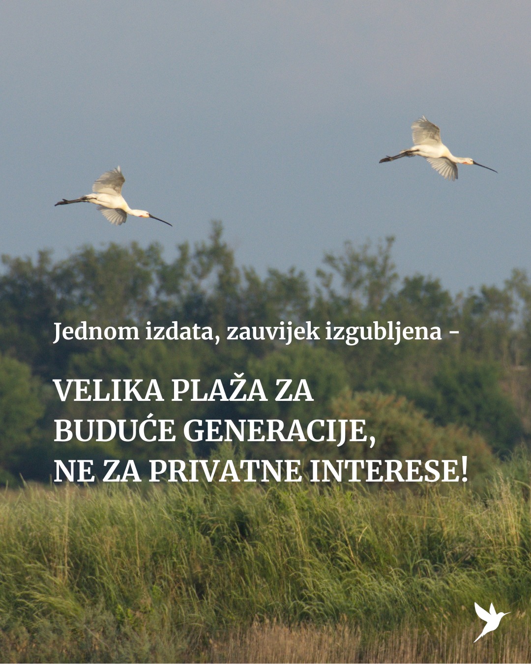 VELIKA PLAZA